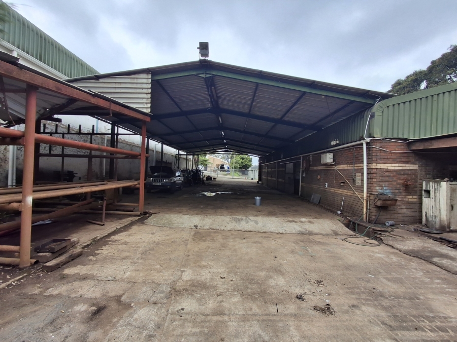 To Let Commercial Property for Rent in Meisies Halt Eastern Cape